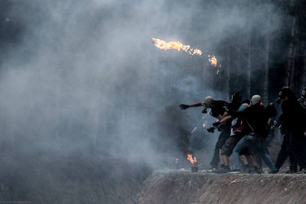 11856515_935719226466994_7571193392090432858_o