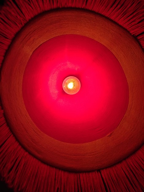 Photo 12-2-20, 21 10 47