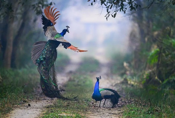 Photo 16-5-20, 23 42 24